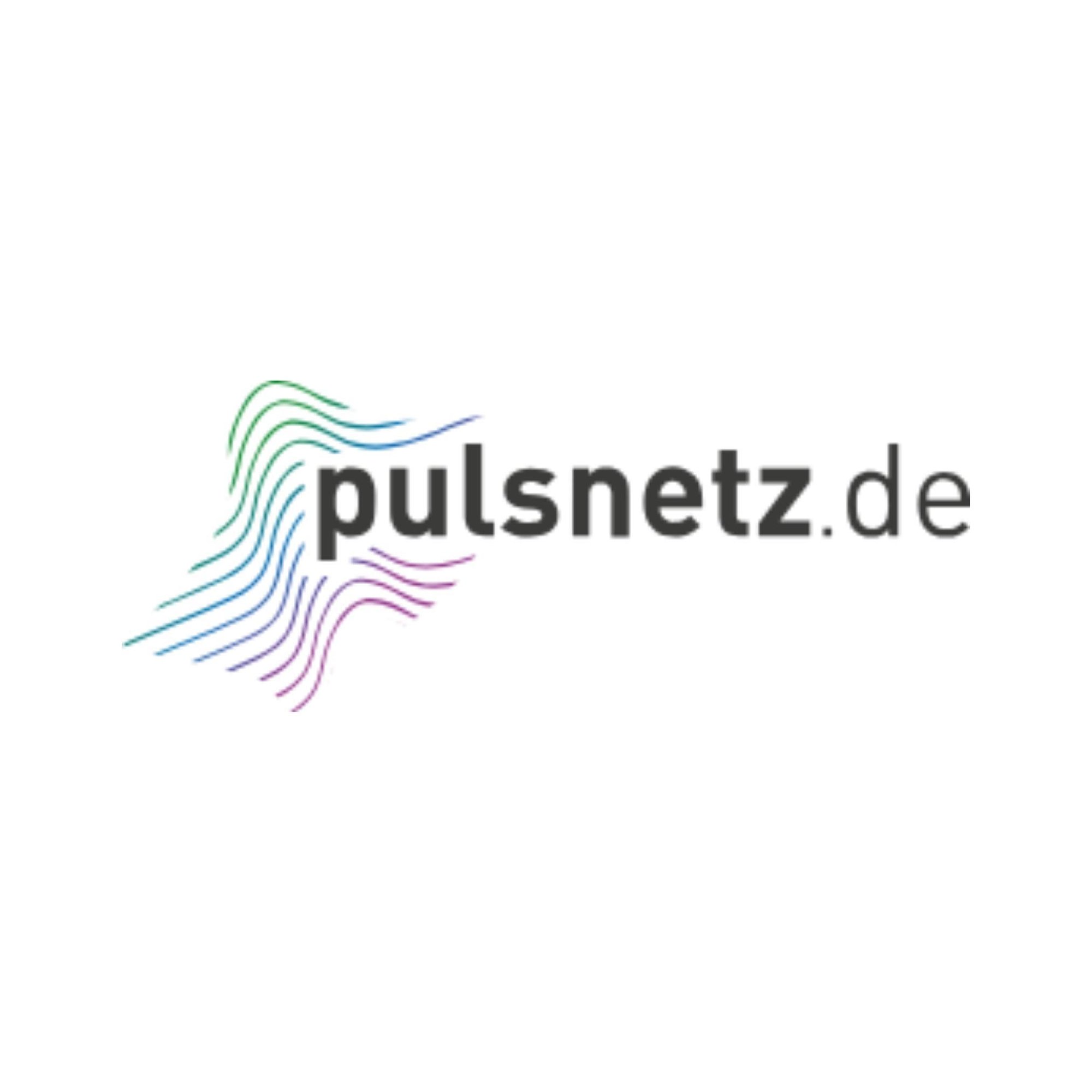 Pulsnetz (Das Diakonische Werk der Evangelischen Landeskirche in Baden e.V.)
