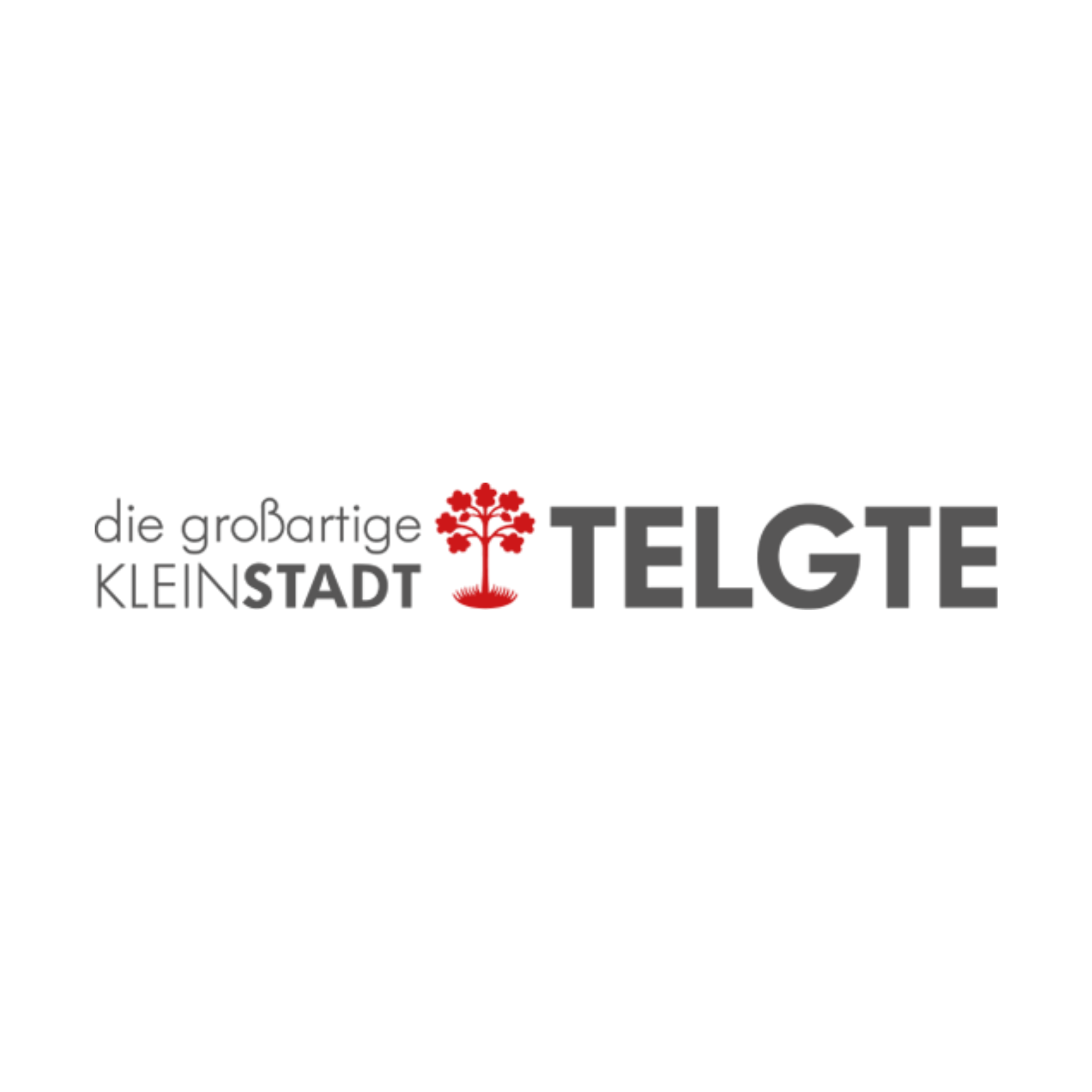 Stadt Telgte